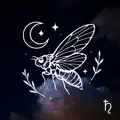Exuvia
