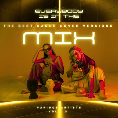 Everybody Is in the Mix (The Best Dance Cover Versions), Vol. 3