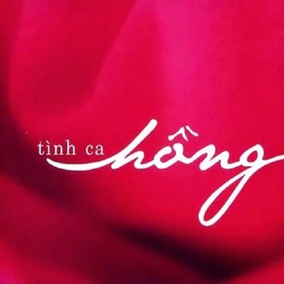 Tình Ca Hồng