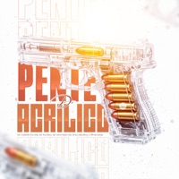 Pente de Acrilico - Single - Mc Fabinho da Osk, Mc Palinha, DJ DH SHEIK & MC Neguinho ITR