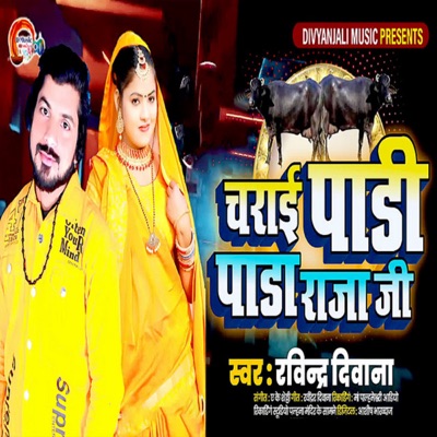 Charai Padi Pada Raja Ji - Single