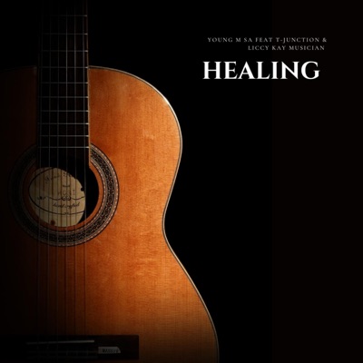 Healing (feat. T-Junction & Liccy Kay Musician) - Single