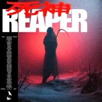 REAPER - N0B0DY