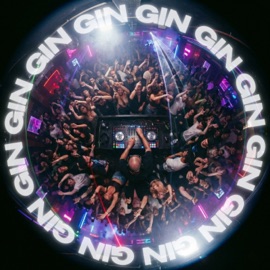 GIN Лёша Стелит & DANORO
