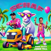 Schaf - Single - Kool Savas & Chris Tall
