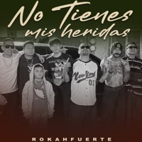 No Tienes Mis Heridas - Single - Rokahfuerte