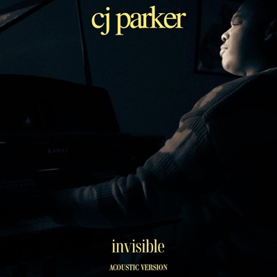 Invisible (Acoustic Version) - Single