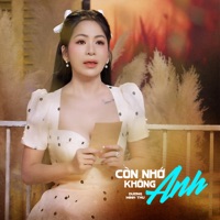 Còn Nhớ Không Anh - Single - Dương Minh Thu
