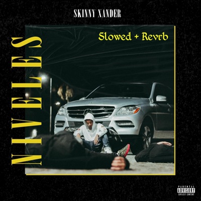 Niveles (Slowed + Reverb) - Single