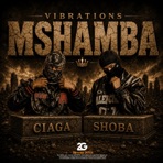 Mshamba aelewi - Single