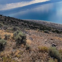 Enough. - Single - WAY2NOXIOUS