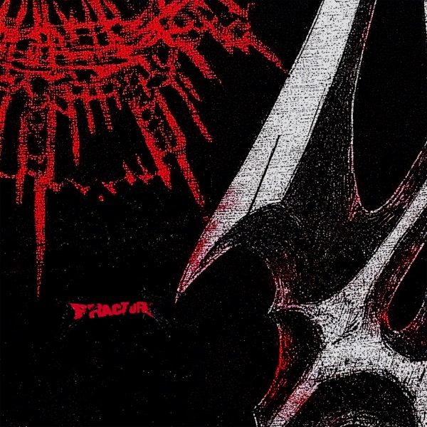 fracture - Single