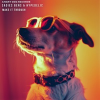 Make It Through - EP - Sadies Bens & Hypedelic