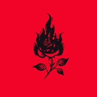 Pericolosa - Single - Mister Bex & lilpaki