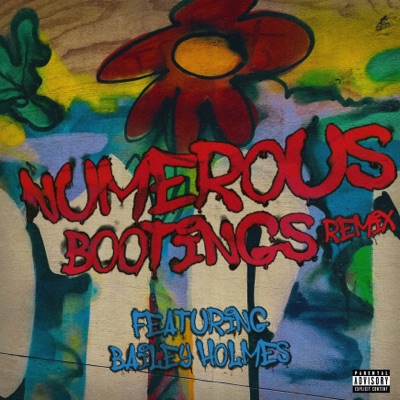 Numerous Bootings Remix (feat. Bailey Holmes Music) - Single