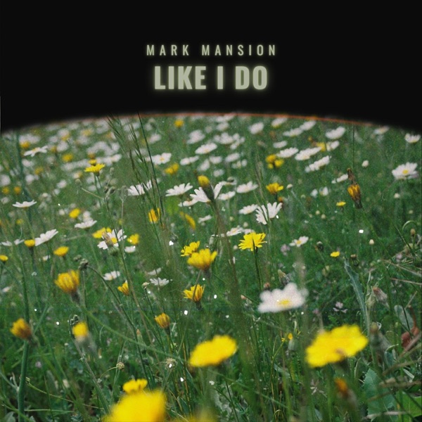 Like I Do - Single