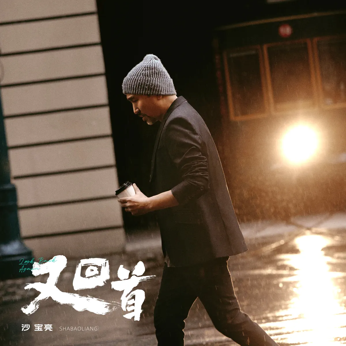 沙宝亮 - 又回首 (2025) [iTunes Plus AAC M4A]-新房子