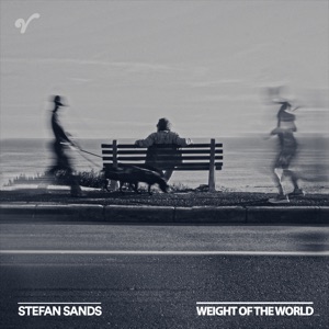 Weight of the World - Single