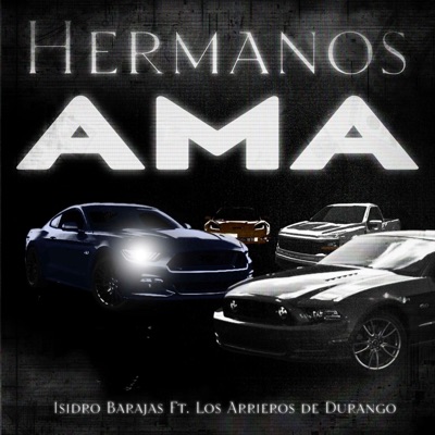 HERMANOS AMA (feat. Los Arrieros De Durango) - Single