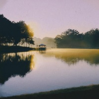 Lakeside - Single - Willis.