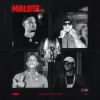 Malote (feat. Bi$ & 2T) - Single - Ryan Realcria, PJ Houdini & Jhowzin