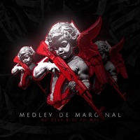 Medley de Marginal (feat. Mc Dexx) - Single - PH MPC