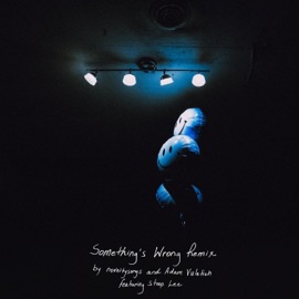 Something's Wrong II (feat. stoop lee) [Adam Vuletich Remix] noveltysongs