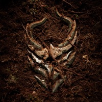 The Pain In Me Is Gone