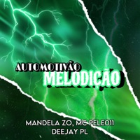 Automotivão Melodicão (feat. MC PELÉ 011 & MC Mandela ZO) - Single - DEEJAY PL