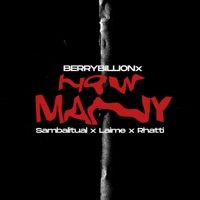 How Many (feat. Rhatti, Laime & Sambalitual) - Single - Berrybillionx