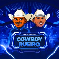 Cowboy Rueiro - Single - DJ DANLIVE & Seu Terim