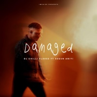 Damaged - Single - Segun Aniyi & DJ Chilli Flakes