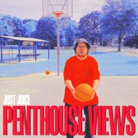 PENTHOUSE VIEWS - Single - Just Juice