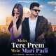 Mein Tere Prem Mein Mari Padi Single