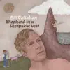 Bill Callahan - The Ballad of the Hulk