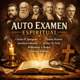 Auto Examen Espiritual