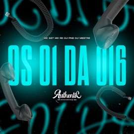 Os 01 da 016 (feat. DJ MESTRE) DJ PND, Mc Sz7 & Mc Rd