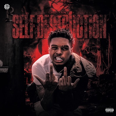 Self Destruction