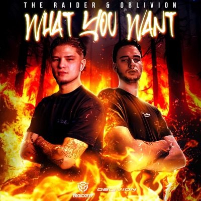 What You Want - Single