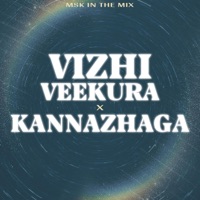 Vizhi Veekura Mix - Single - MSK
