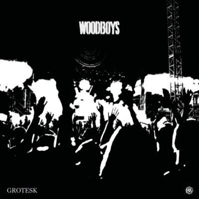 WoodBoys (feat. DANI) - Single