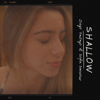 Shallow - Single