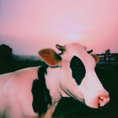 DAIRY QUEEN (Prairie Version) - Single