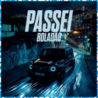 Passei Boladão - Single - MC Matheuzinho do MS, Dj Vinny ZL & Mc Lacerda Zl