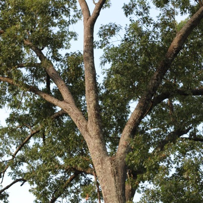 I Wouldn't Change A Thing