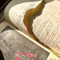 Dyson Airblade - Single - B.High