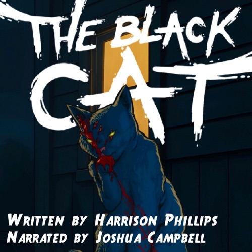 The Black Cat cover