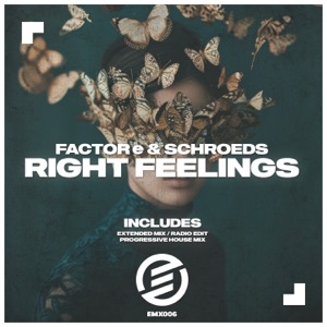 Right Feelings - Single