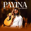 PAYINA