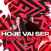 Hoje Vai Ser Festa Linda (feat. DJ JM BEAT) - Single - Mc ZL, DJ Lukinhas 011 & Bruderr